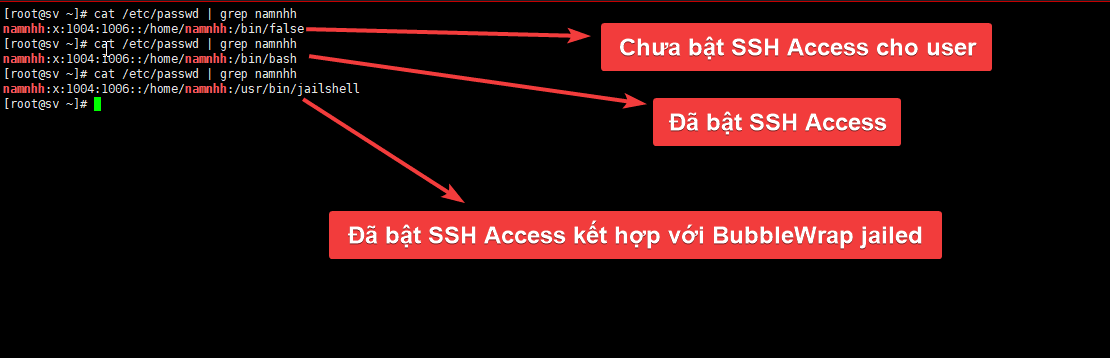 Hướng dẫn cấu hình Giới hạn quyền user Directadmin 1.6 8 3Capture 1