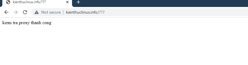 Hướng dẫn cài đặt NGINX Proxy Apache 2.x 11 Capture9