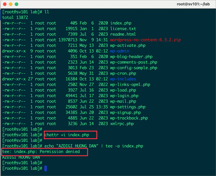 Hướng dẫn sử dụng lệnh chattr trong Linux 2 Hướng dẫn sử dụng lệnh chattr trong Linux