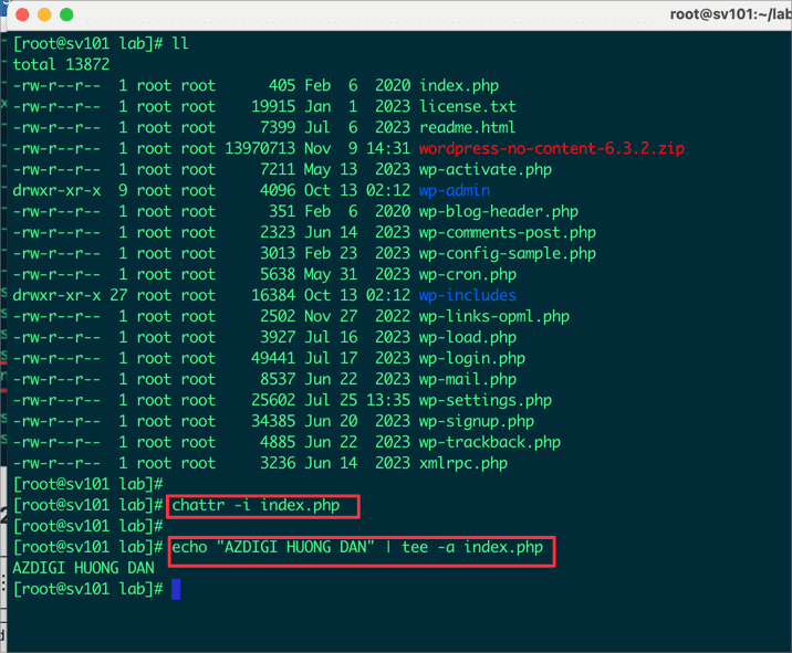 Hướng dẫn sử dụng lệnh chattr trong Linux 3 CleanShot 2024 01 21 at 12.27.15