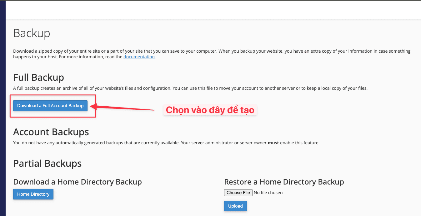 Hướng dẫn tạo Backup trên cPanel 3 CleanShot 2025 06 16 at 13.37.26 1