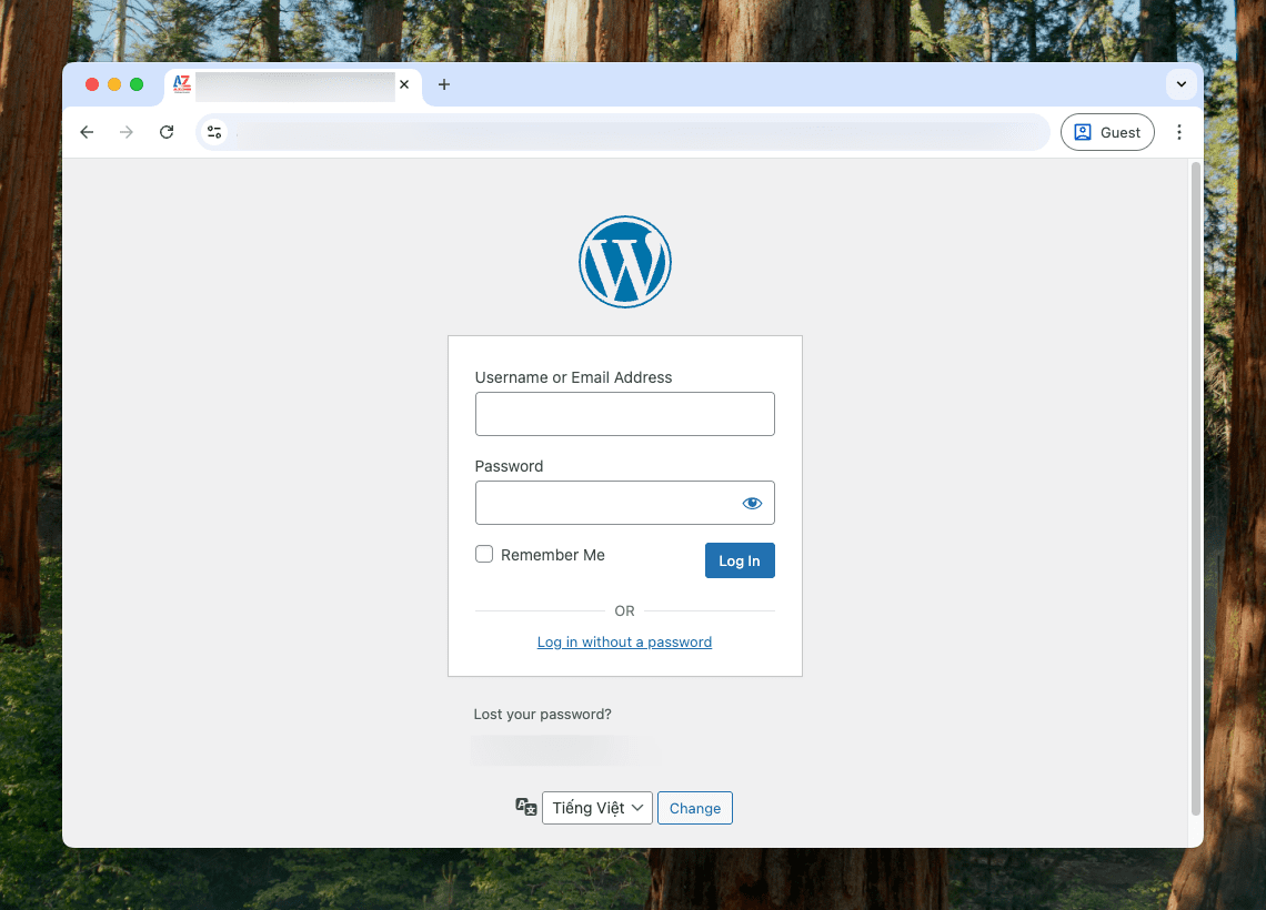 Hướng dẫn xem dung lượng website WordPress trực tiếp trong giao diện quản trị 2 Hướng dẫn xem dung lượng website WordPress trực tiếp trong giao diện quản trị