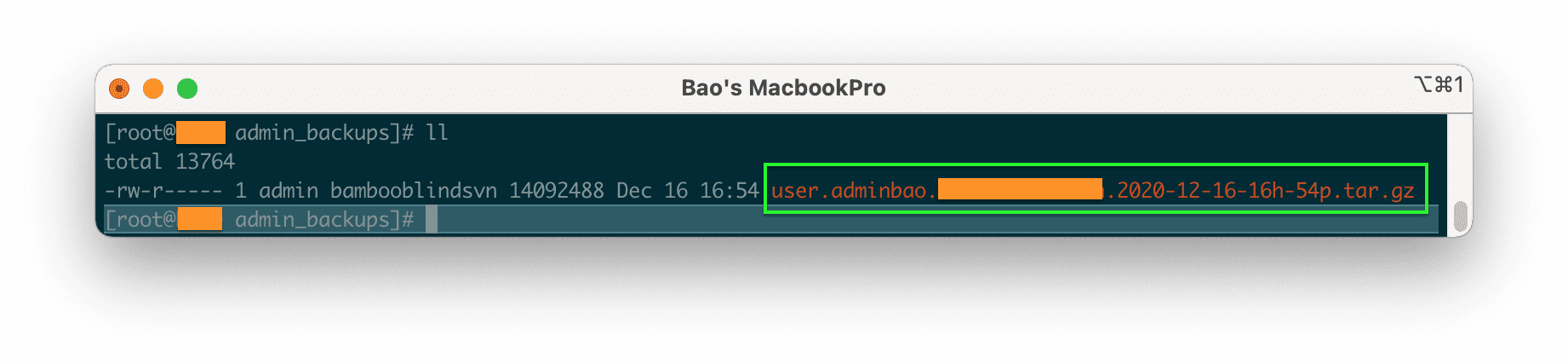 Thêm thời gian vào tên tệp sao lưu DirectAdmin 4 how-to-add-time-them-thoi-gian-vao-ten-tep-sao-luu-directadmin