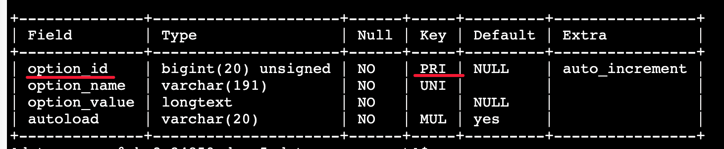Sửa lỗi Table Database thiếu khóa chính (Primary Key) trên WordPress 5 Table Database thiếu khóa chính