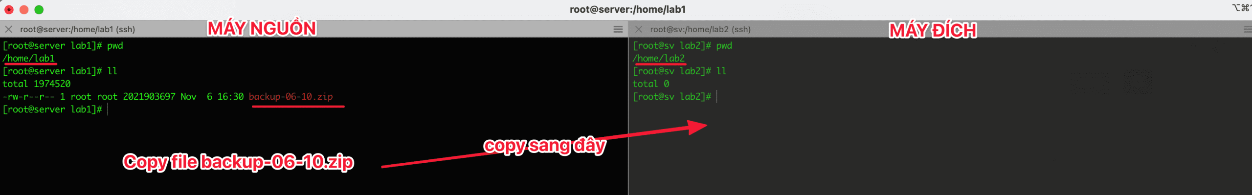 Sử dụng SCP và RSYNC để di chuyển dữ liệu trên Linux 3 Sử dụng SCP và RSYNC để di chuyển dữ liệu trên Linux