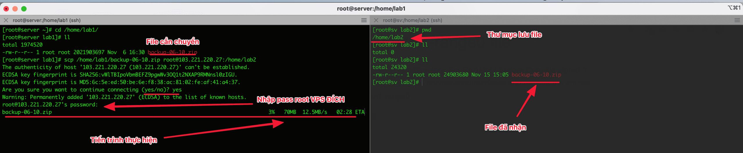 Sử dụng SCP và RSYNC để di chuyển dữ liệu trên Linux 4 Sử dụng SCP và RSYNC để di chuyển dữ liệu trên Linux