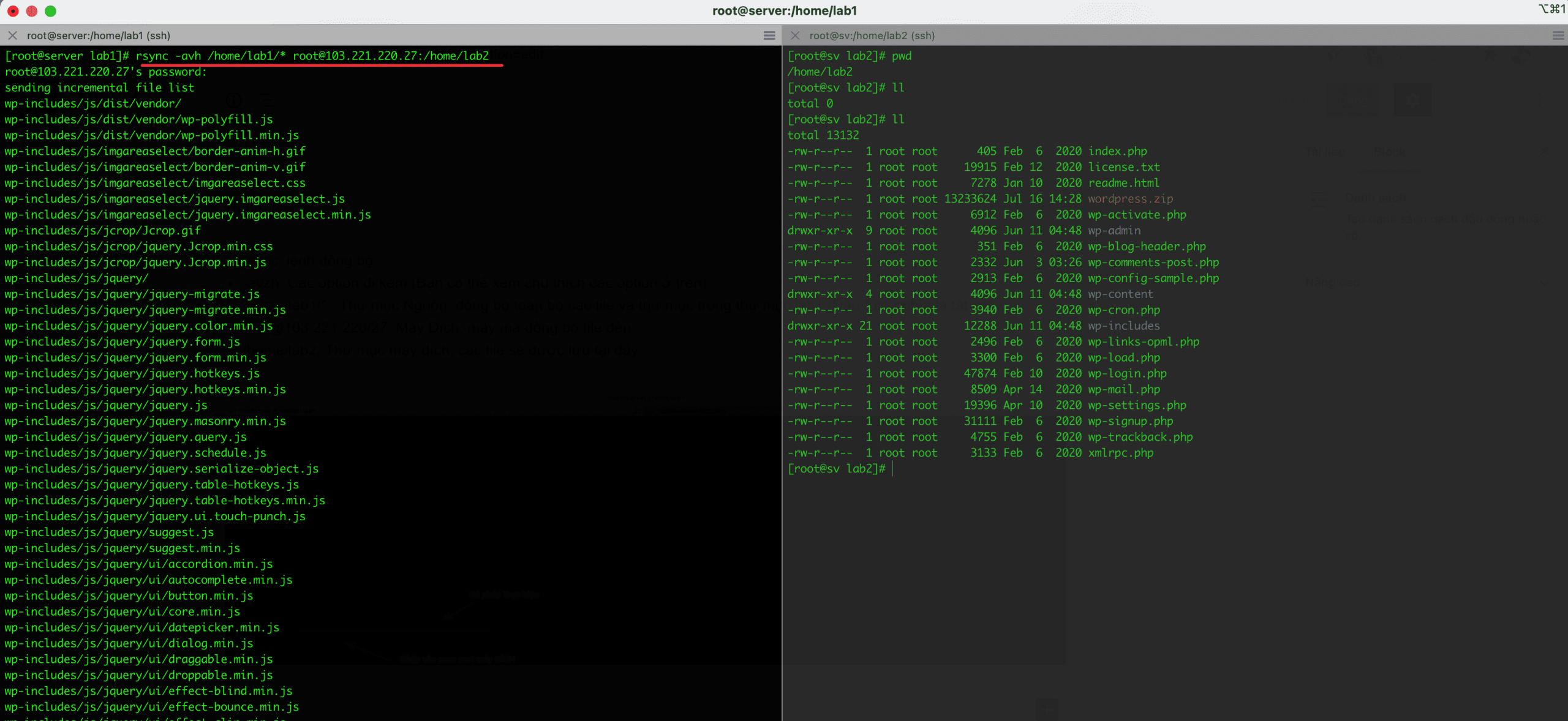 Sử dụng SCP và RSYNC để di chuyển dữ liệu trên Linux 7 Sử dụng SCP và RSYNC để di chuyển dữ liệu trên Linux