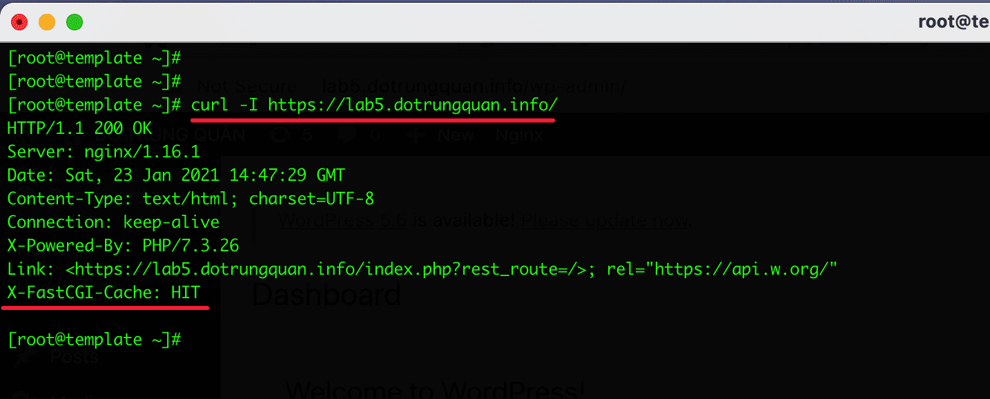 Thiết lập Nginx FastCGI Cache trên NGINX giảm thời gian phản hồi máy chủ 8 Screenshot 2021 01 23 at