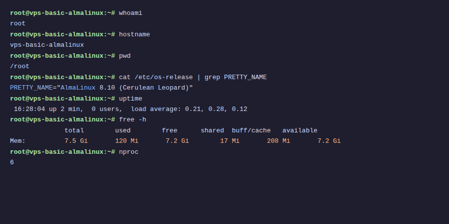 VPS Linux là gì và đăng nhập SSH lần đầu 4 10 lệnh đầu tiên trên AlmaLinux VPS