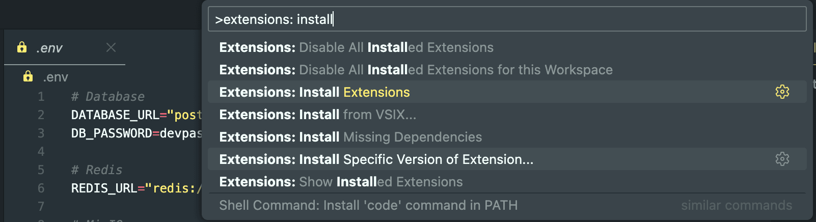Tìm mục extensions: install