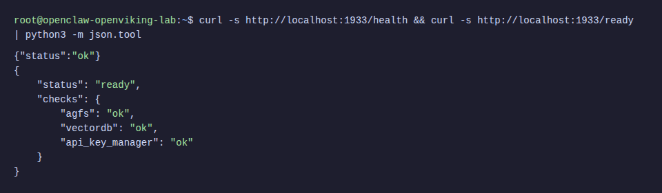 OpenViking health check