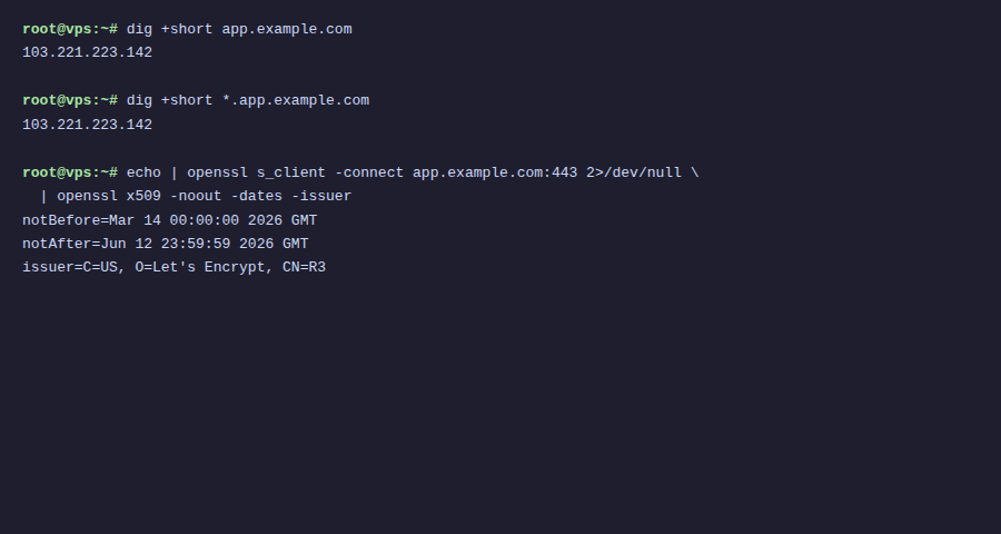 Domain, DNS và SSL trên Coolify — Cấu hình tên miền và HTTPS tự động 3 Kiểm tra DNS và SSL certificate