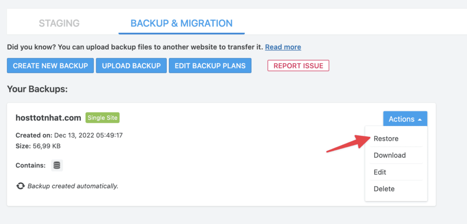 WP Staging Pro – Clone và staging website WordPress đơn giản nhất 16 Khôi phục dữ liệu backup