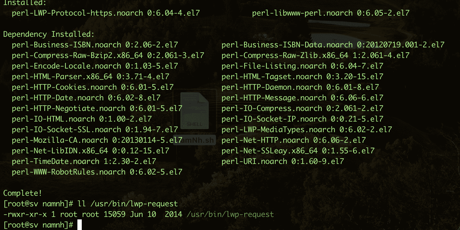 Sửa lỗi “WARNING URLGET set to use LWP but perl module is not installed reverting to HTTP Tiny” 2 CleanShot 2024 01 22 at