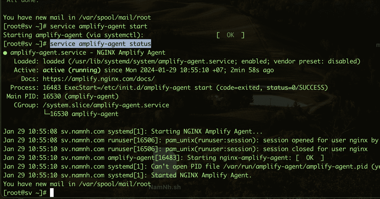 Cài đặt Monitoring Nginx Amplify trên aaPanel 6 CleanShot 2024 01 29 at