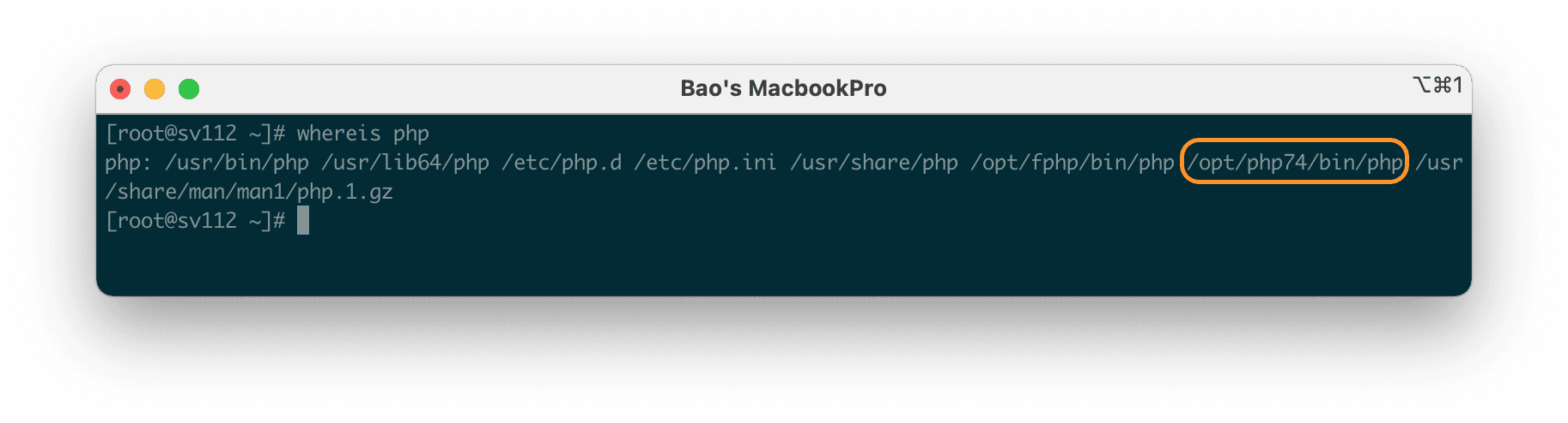 Hướng dẫn thay đổi phiên bản PHP mặc định hệ thống dùng FASTPANEL 4 Screen Shot 2020 10 04 at 6.05.01 PM