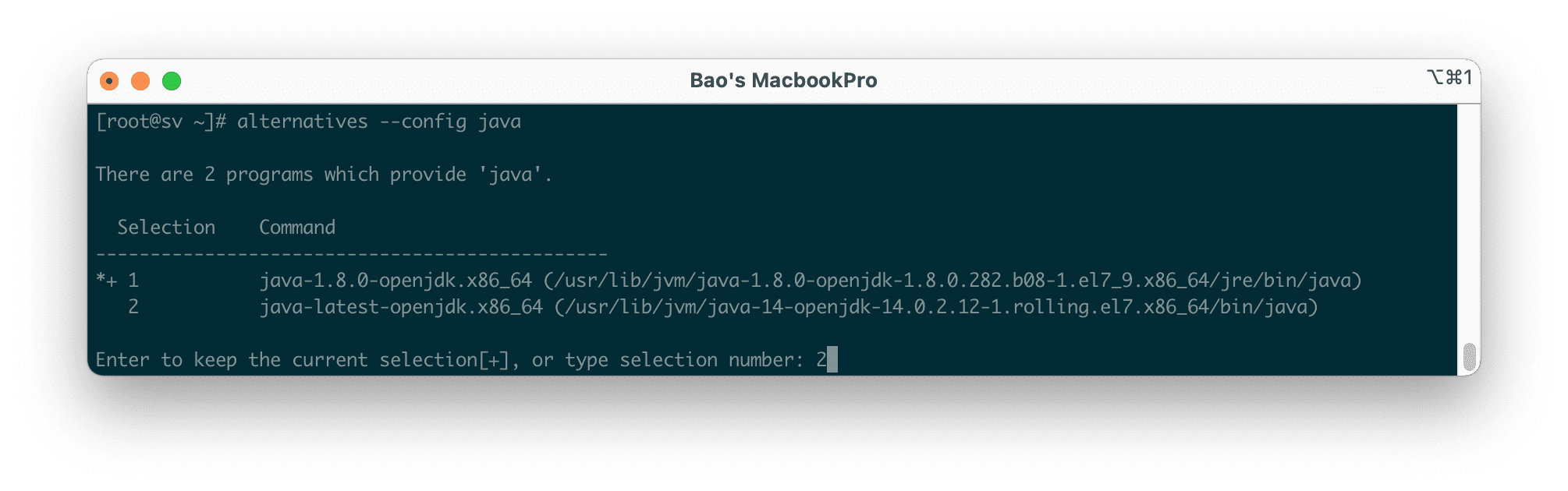 how-to-upgrade-nang-cap-java-8-len-java-11-tren-centos-7