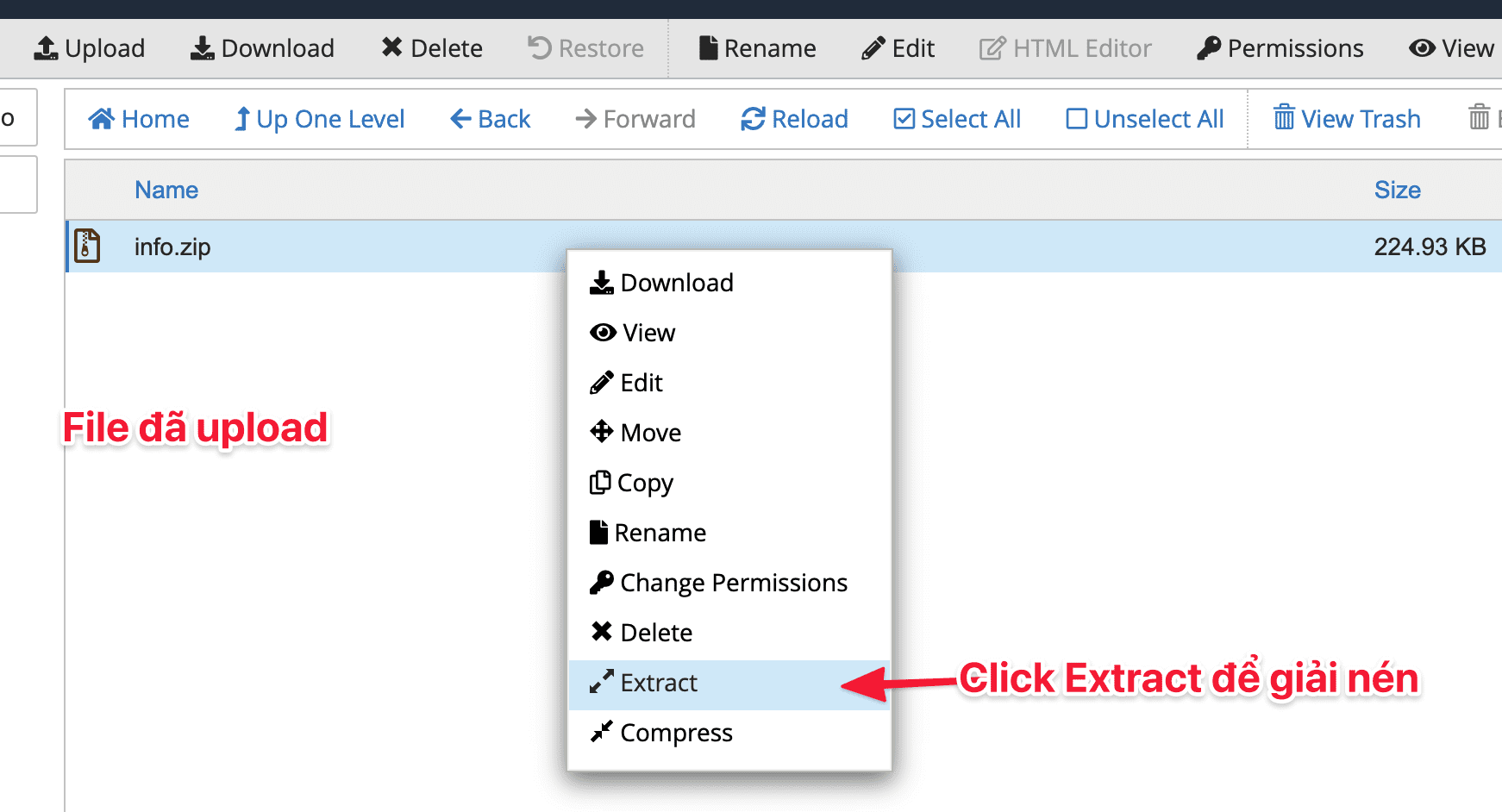 Hướng dẫn chuyển dữ liệu mail trên cPanel 6 Screenshot 2020 11 15 at
