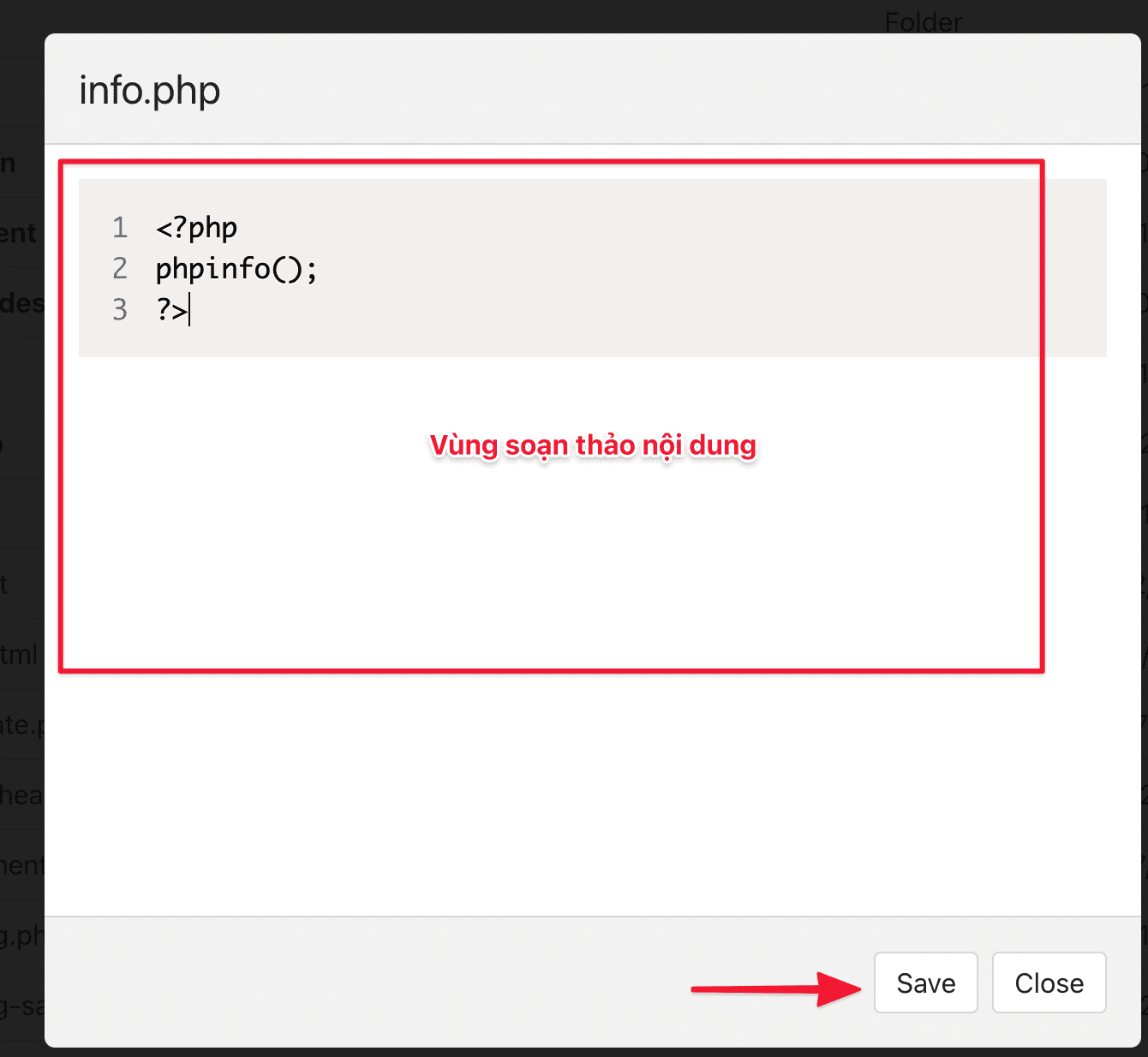 Hướng dẫn sử dụng File Manager trên HestiaCP 9 Screenshot 2020 11 22 at