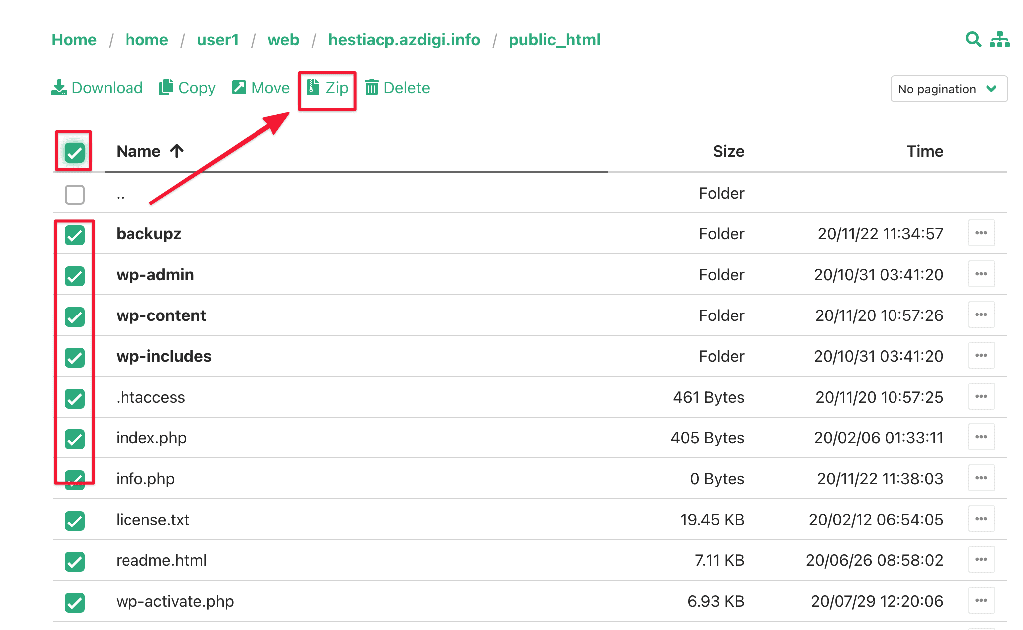 Hướng dẫn sử dụng File Manager trên HestiaCP 12 Screenshot 2020 11 22 at