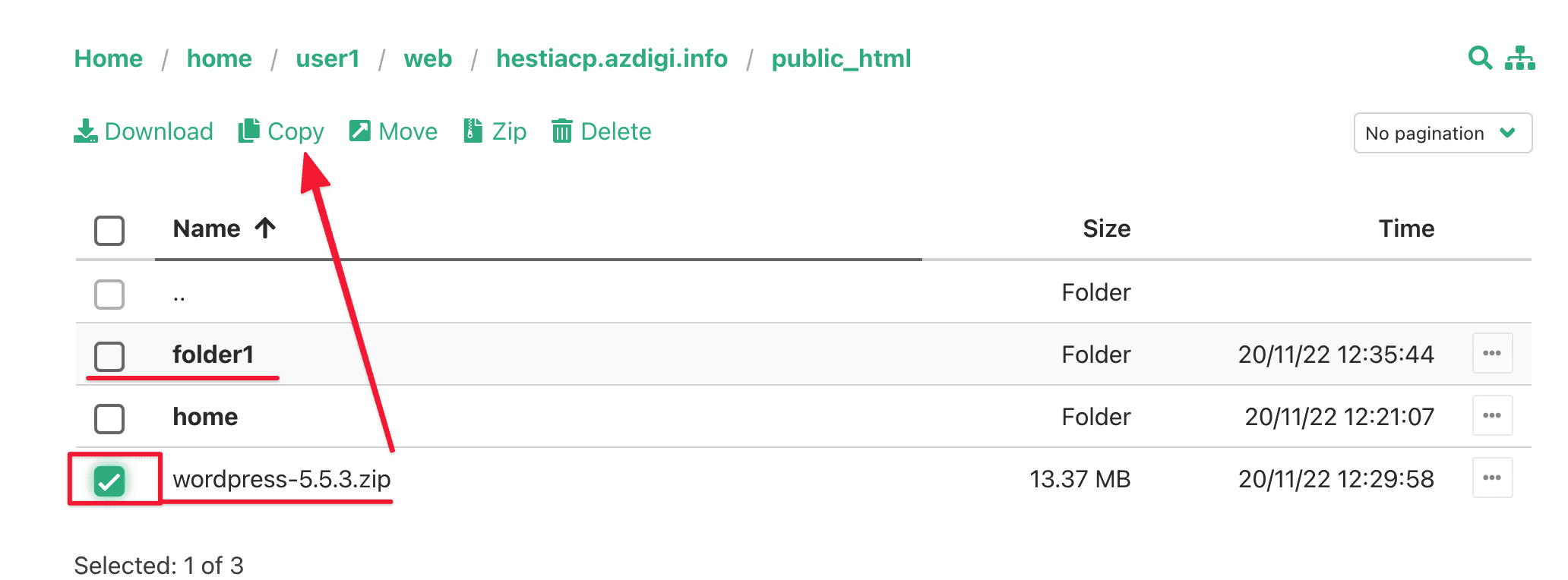 Hướng dẫn sử dụng File Manager trên HestiaCP 21 Screenshot 2020 11 22 at