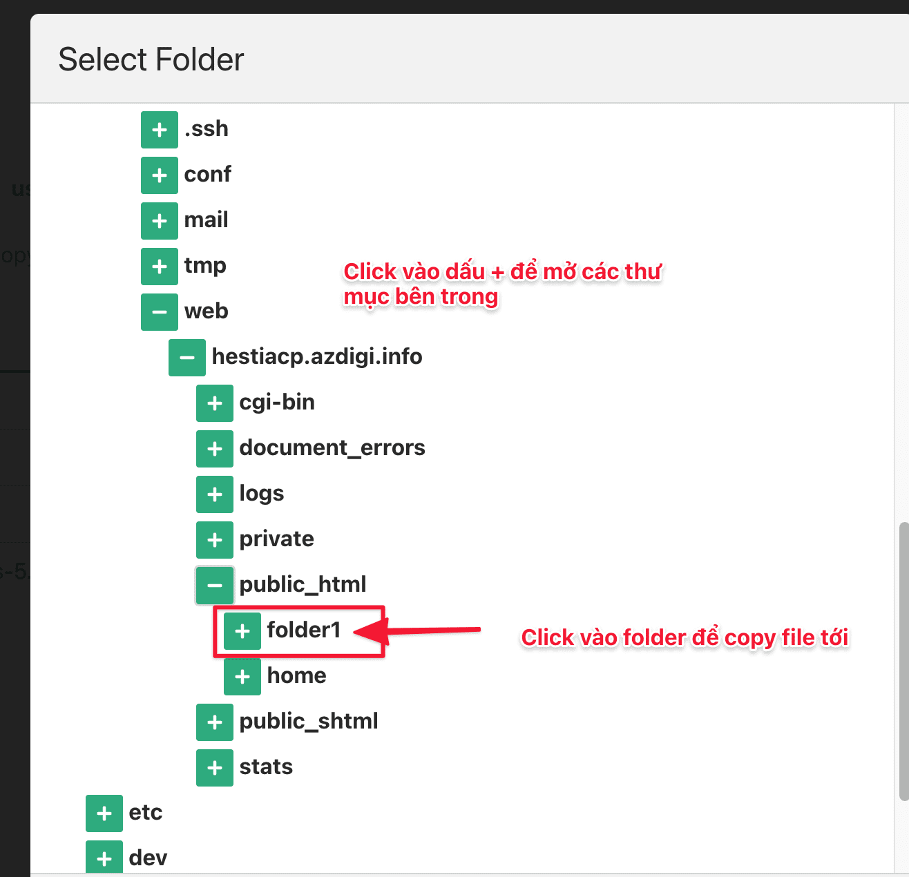 Hướng dẫn sử dụng File Manager trên HestiaCP 22 Screenshot 2020 11 22 at
