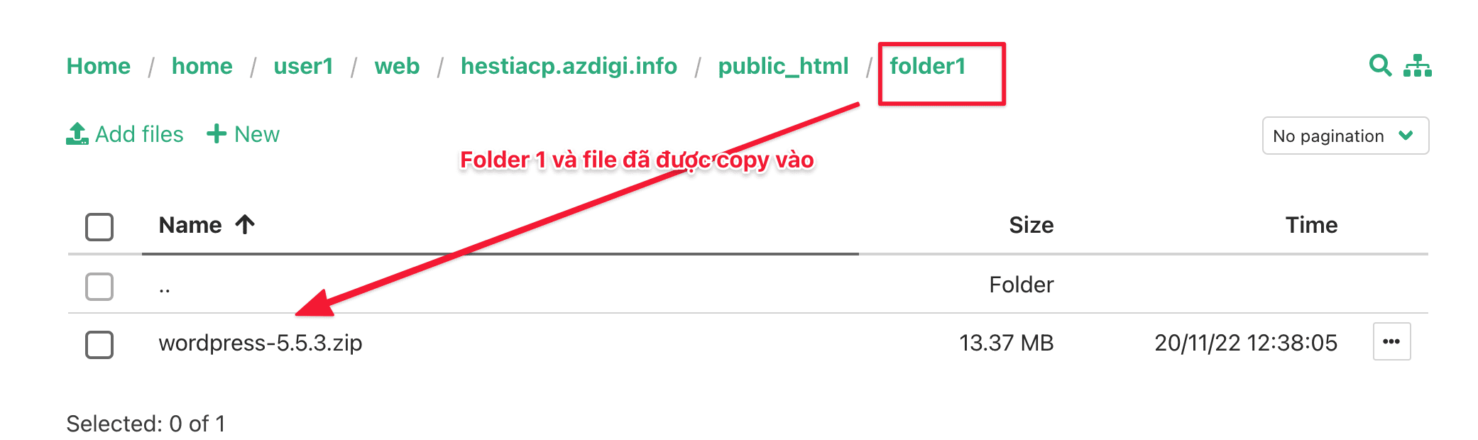 Hướng dẫn sử dụng File Manager trên HestiaCP 23 Screenshot 2020 11 22 at