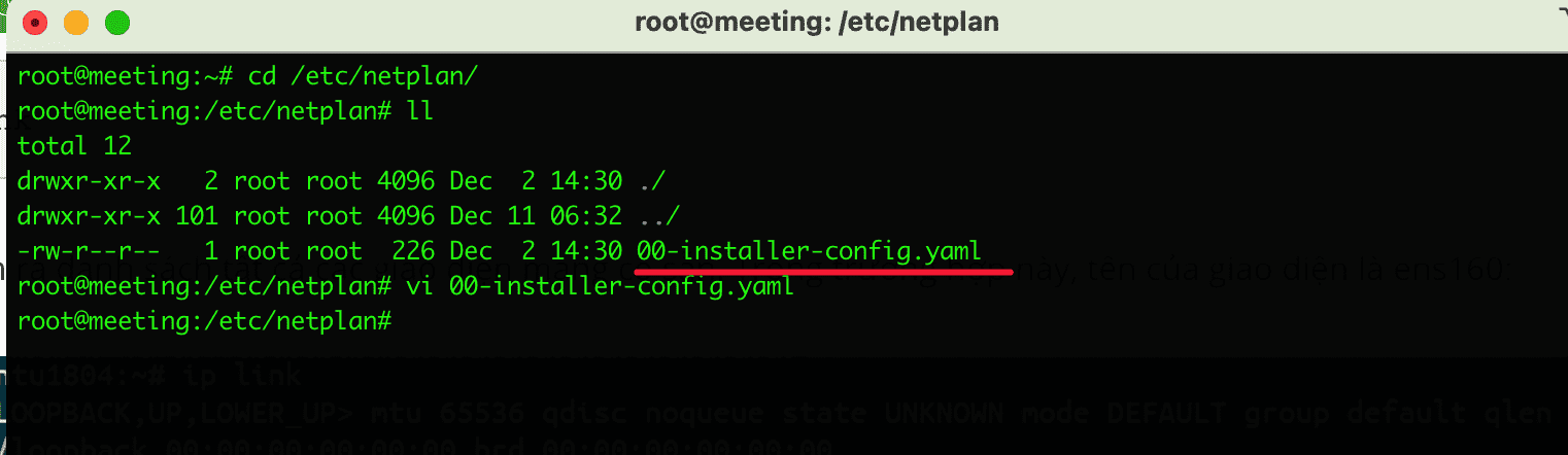 Hướng dẫn cấu hình Static IP trên Ubuntu và AlmaLinux 3 cấu hình IP Static trên Ubuntu