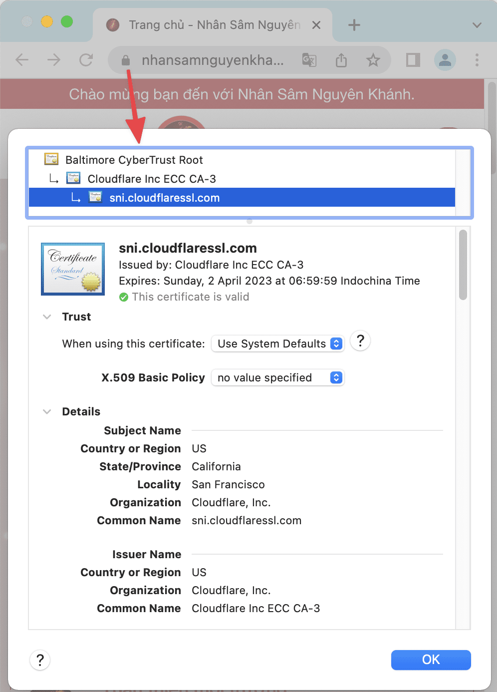 Hướng dẫn cài đặt SSL trên CloudFlare 12 Kiểm tra chứng chỉ