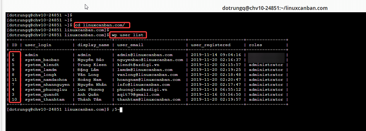 Sửa lỗi mất quyền Admin trong WordPress 5