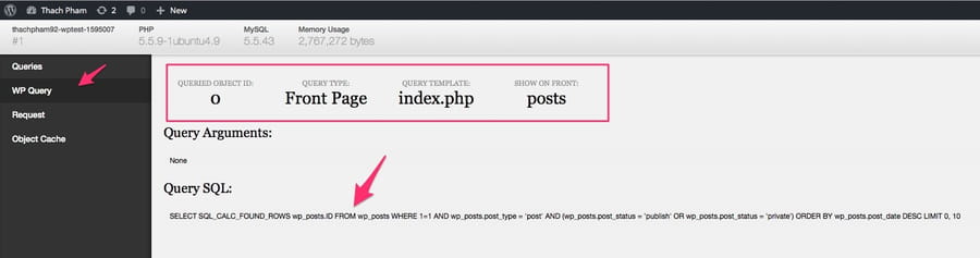 debug wpquery 1