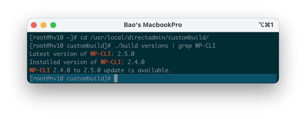 Nâng cấp phiên bản WP-CLI trên DirectAdmin 2 Nâng cấp phiên bản WP-CLI trên DirectAdmin | How to update WP-CLI Directadmin