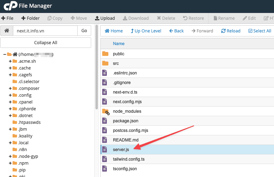 Hướng dẫn cài đặt Next.js trên Hosting cPanel 13 Hướng dẫn cài đặt Next.js trên Hosting cPanel