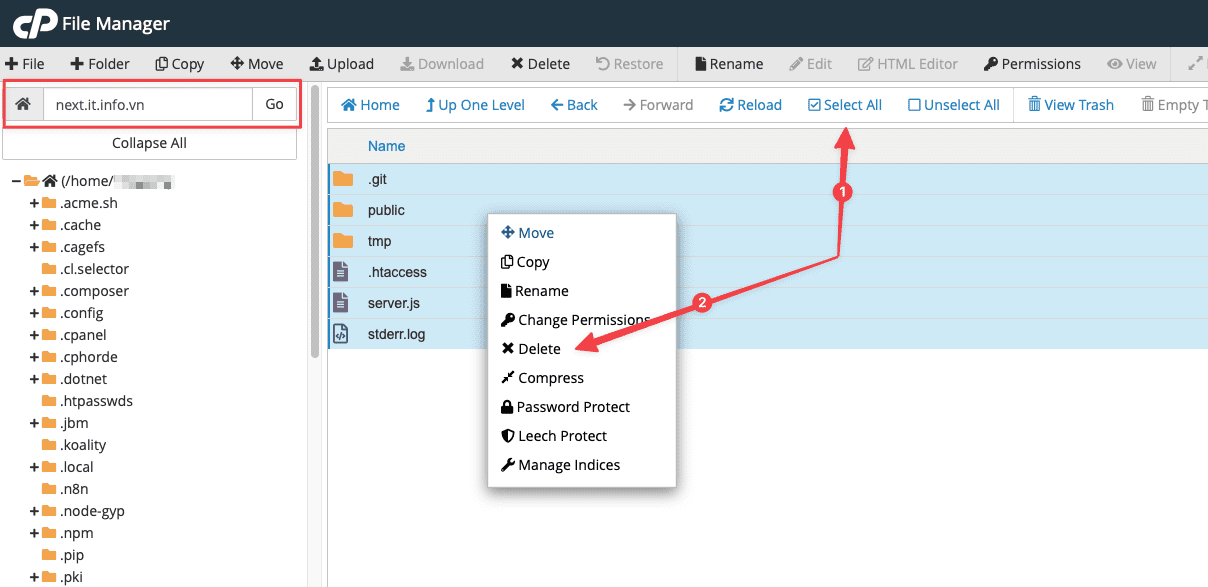 Hướng dẫn cài đặt Next.js trên Hosting cPanel 6 Hướng dẫn cài đặt Next.js trên Hosting cPanel