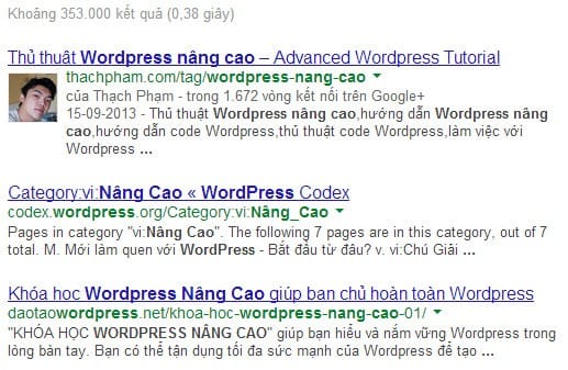 seo tag wordpress 2 1