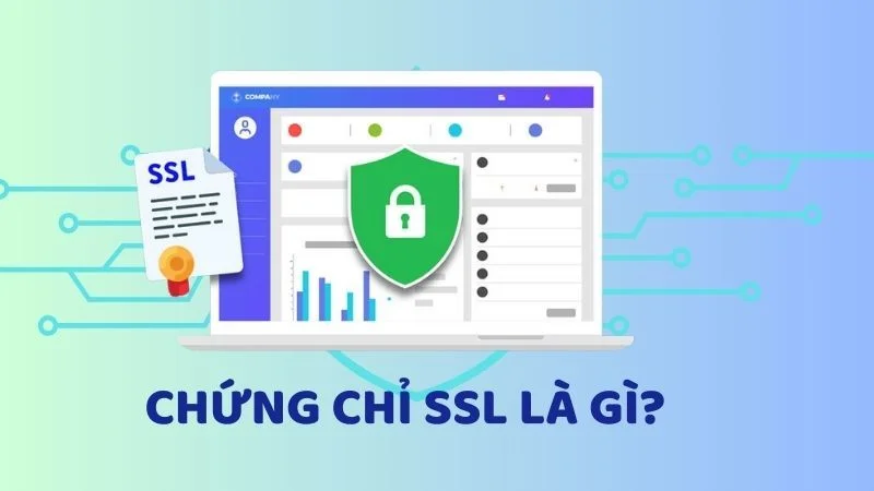 subiz chung chi ssl la gi 4